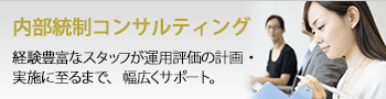 内部統制コンサルティング